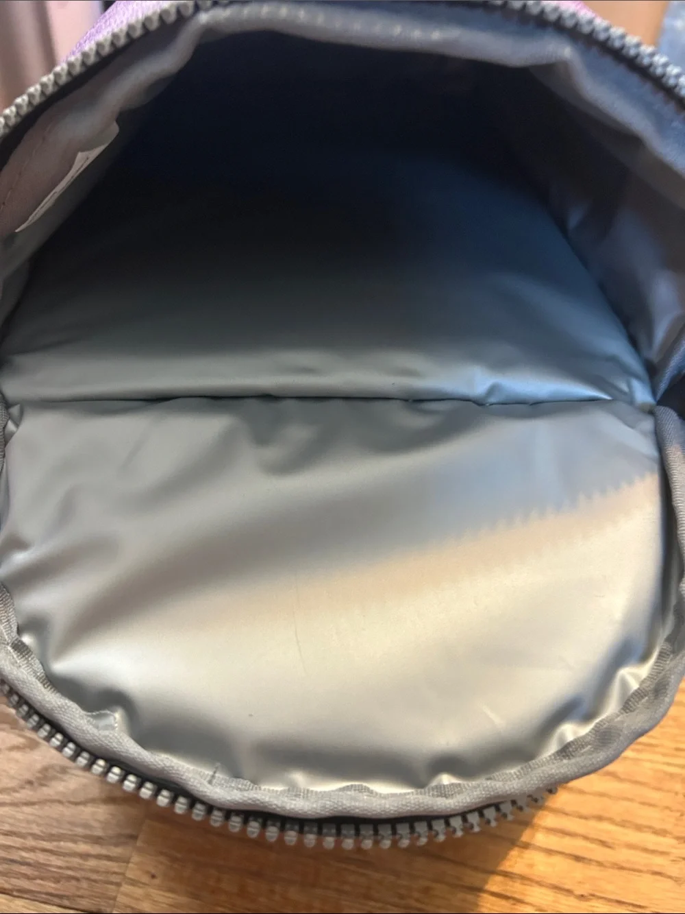 NWT Purple Insulated Lunch Cooler Bag with Multiple Pockets